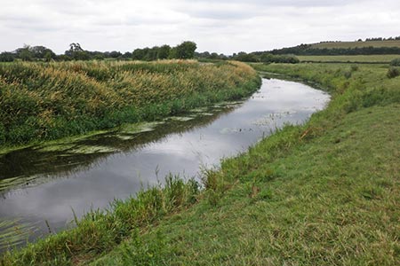 The River Tone, near Windmill Hill, Somerset