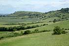 Ivinghoe Beacon, Chilterns hike